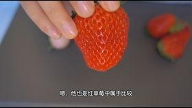 草莓100在线观看百,在线观看，百变魅力草莓之旅