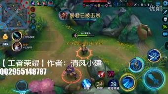 清风王者爆料视频大全,揭秘游戏幕后精彩瞬间