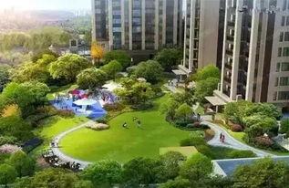 成都公园爆料事件视频,视频揭露惊人一幕