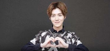 吴亦儒最新综艺节目爆料,揭秘明星幕后故事与真实情感