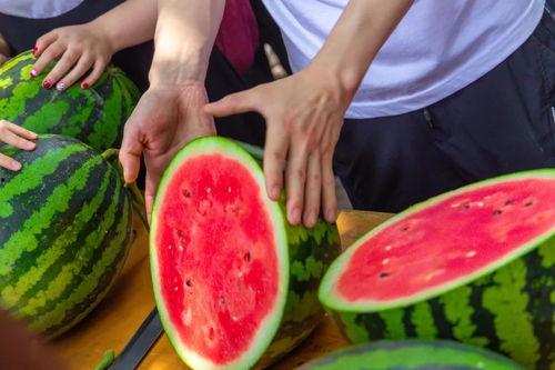 实时免费吃瓜,揭秘娱乐圈最新热点！