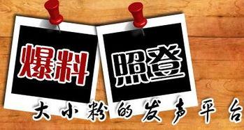 增城新闻爆料平台,聚焦民生，传递正能量