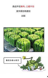 吃瓜群众网红爆料事件,吃瓜群众围观娱乐圈新风波