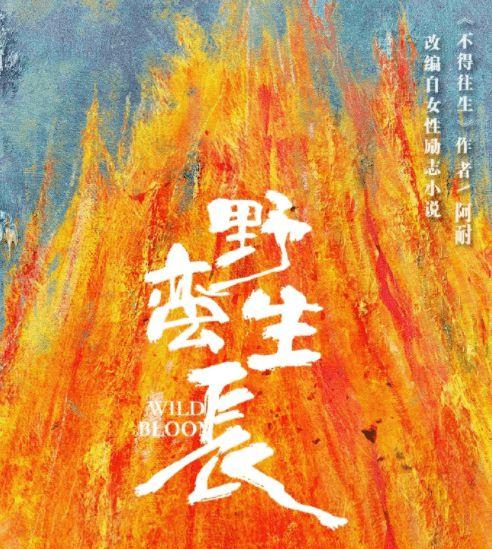 野蛮生长最新爆料,揭秘行业巨头背后的秘密与挑战