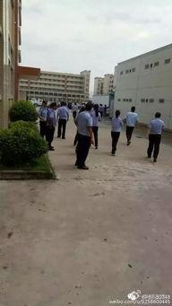 道教学院爆料视频,独家爆料视频背后的神秘世界