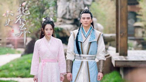 花不弃电视剧在线观看,穿越时空的奇幻爱情之旅