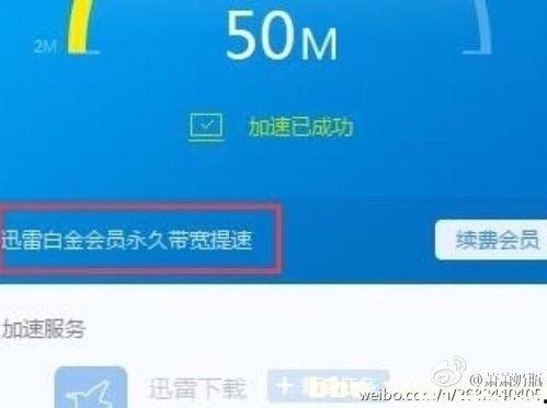 迅雷在线观看违法,揭秘网络版权乱象