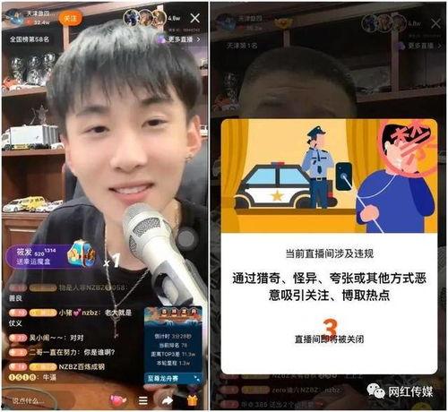 健哥爆料王乐乐视频,健哥爆料背后的真相与争议